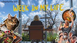 uchicago week in my life ft. my friends, vaccinated, tutoring, gym! // collegebychloe ep3