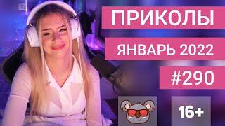  ЛУЧШИЕ ПРИКОЛЫ ЯНВАРЬ 2022 | Я РЖАЛ ДО СЛЕЗ | Выпуск №290