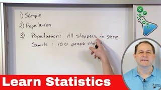 Learn Statistics: Samples, Population, Parameters & Mean