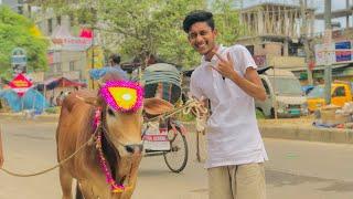 আলহামদুলিল্লাহ গরু কিনে ফেললাম | ALFEZ SAJID | Bhai Koto Nilo | I Bought a cow | Vlog 2024