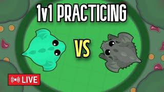 Mope.io Livestream | 1v1 Practicing with fans - CHILL LIVE | TAG: [K] Server: Frankfurt 1