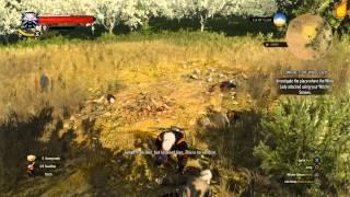 The Witcher 3: Contract: The White Lady - Quest Walkthrough