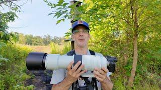 This Setup Is Absurd Is It Any Good? | Canon R50 Canon 200-800mm Lens