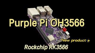 Rockchip RK3566 Purple Pi OH3566 Android Linux development board with Raspberry Pi