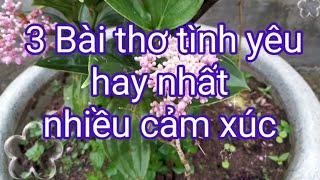 Thơ tình yêu tổng hợp hay nhất.