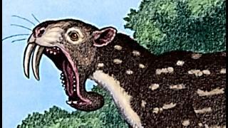 The Weird Origins of Marsupials