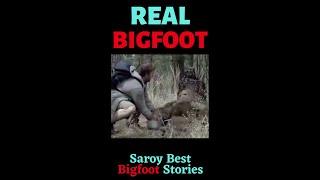 Bigfoot Loses Control!!! Did you enjoy this clip???  #Bigfoots testimony