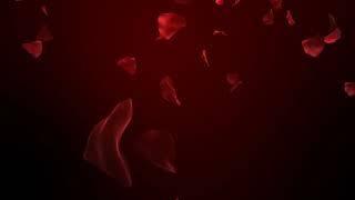 Футаж для видео монтажа Падающие лепестки роз на красном фоне