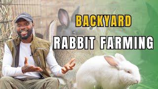 RABBIT FARMING IN AFRICA: Important Tips On How To Raise Rabbits As A Business