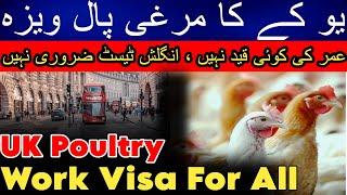 No Age Limit No IETLS | UK Murgi Pal Visa | UK poultry work Visa | Only 300 Pound Visa Fee