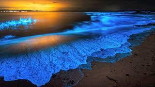Neptune Project - Bioluminescence (Magdelayna Chillout Mix)
