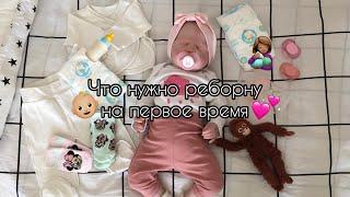 Что нужно реборну на первое время?