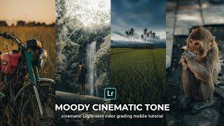 Moody cinematic Presets - Lightroom mobile Presets tutorial #495