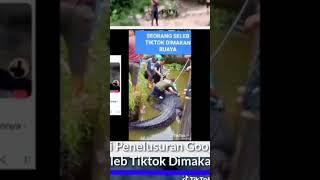 Viral hari ini seleb tiktok dimakan buaya