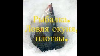 Рыбалка. Ловля окуня, плотвы на мормышку