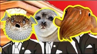 Pufferfish Vs Seal Vs Cuttlefish - Coffin Dance Meme Cover