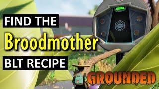 Find the Broodmother BLT Recipe | Grounded (2024)