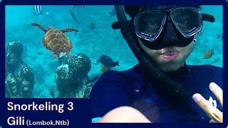 Menikmati Keindahan Pesona Bawah Laut 3 Gili (Trawangan, Meno, Air) | Lombok, NTB