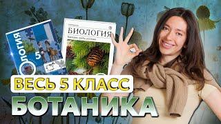 Весь 5-6 класс за 3 часа. Пасечник, Пономарева. Биология: ботаника от водорослей до покрытосеменных