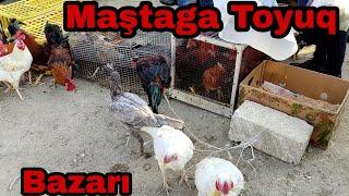 Maştaga Toyuq Bazarı