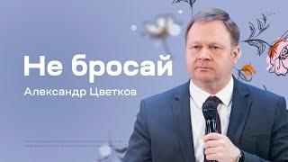 Александр Цветков: Не бросай (23 апреля 2023)