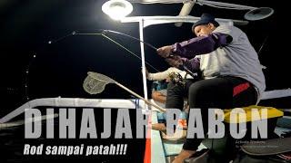 TRIP MANCING DI BALI UTARA DIHAJAR BABON - Tridentech LongBow PE 2-4