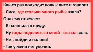 Как-то Раз Подходит Волк к Лисе и Говорит: – Лиса, Где Столько... Сборник Свежих Анекдотов! Юмор!