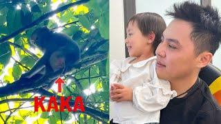 Diem is happy to receive Monkey Kaka video for a long time