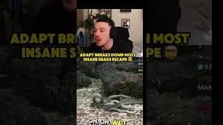 THE CHOSEN ONE FAZE ADAPT REACT #reaction #funny #twitch #memes #gaming