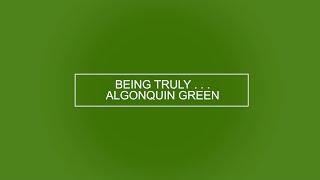 Being Algonquin Green