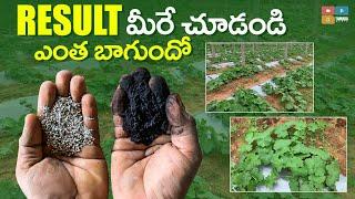 Seaweed + Fertilisers￼ పనితనం మీరే చూడండి ఎంత బాగుందో ॥please save farmers￼