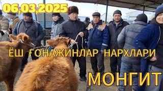 АМУДАРЁ МОНГИТ ЁШ ҚОЧОРЛОР ҒОНАЖИНЧАЛАР НАРХЛАРИ06,03,2025