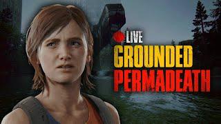 Grounded Whole Game Permadeath | The Last of Us Part II Remastered