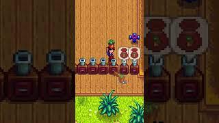 Hardest Get Rich Quick Scheme In Stardew Valley 1.6