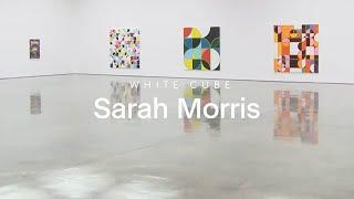 In the Gallery: Sarah Morris on 'Bye Bye Brazil' | White Cube