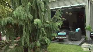 Cool rooftop garden featured in German Village Tour