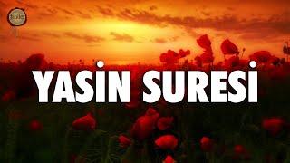 Yasin Suresi | fussilet Kuran Merkezi