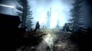 Alan Wake: Flare Guns Rule