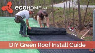 DIY living green roof installation