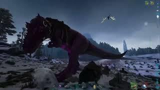 Rhino Highlights #2 | Ark Official Small Tribes PS4 #rgo