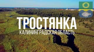 4K. Река Тростянка (Устье). Зеленоградск. Калининградская область.