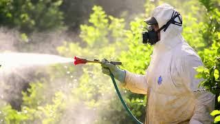 Pest Control Lancaster Ca: Expert Solutions for Your Home or Business