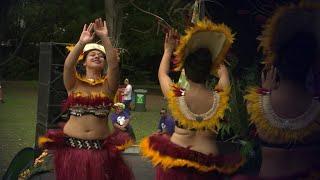 What the Pasifika Festival learned from Te Matatini | Te Ao Māori News