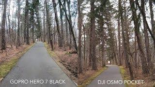 DJI Osmo Pocket vs GoPro Hero 7 Black - A Simple Comparison