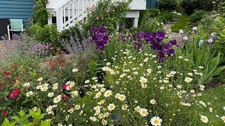 End of May Garden Tour, 2024 : Myriad colors fill in the garden!