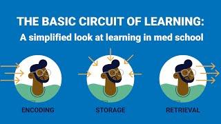 The Basic Circuit of Learning: A simplified look at learning in med school