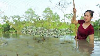 Build Green Life: Catch lots of Fish with my Sister - Harvesting Fruit Garden Goes to Market Sell