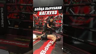  БОЙЦА ВЫРУБИЛИ НАГЛУХО | @HardcoreFightingChampionship #mma #кулачка #нокаут #knockoutcity