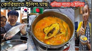 কোরিয়াতে ইলিশ মাছ প্রথম ধনিয়া পাতা টমেটো আলু কাঁচা কলা দিয়ে  ঝাল ঝোল রেসিপি