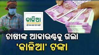 Odisha Govt Transferred Rs 639 CR To 34 Lakh Farmers Accounts Under 'KALIA' Scheme || KalingaTV